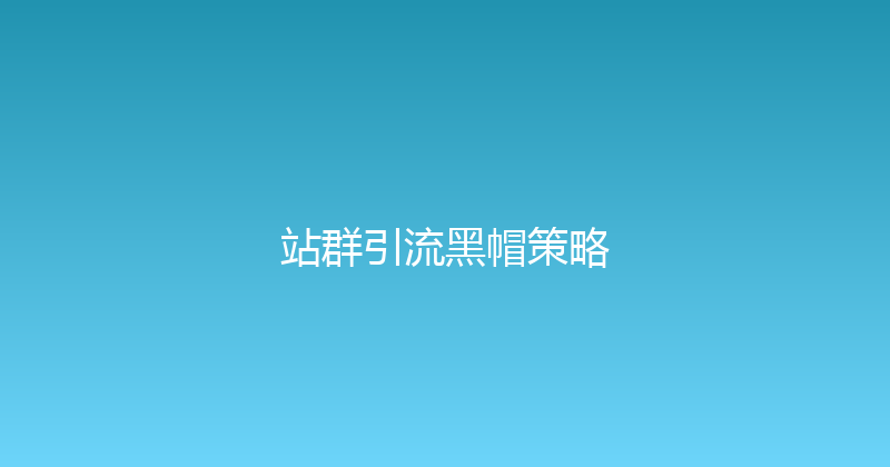 站群引流黑帽策略 封面图