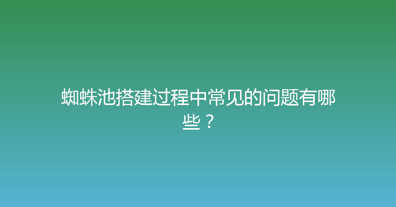 蜘蛛池搭建过程中常见的问题有哪些？ 封面图
